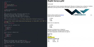 Web Programalama Serisi: HTML Ders 1